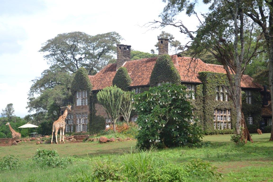 The handsome grounds in which the giraffes wander safely (Photo: Giraffe Center)