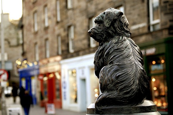 Greyfriar's Bobby watches passing crowds (Photo: Rohit Mattoo via Flickr)