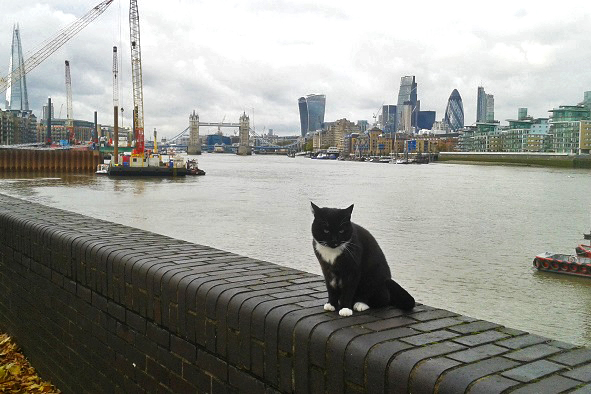 The view from Bermondsey Wall, the western part of Rotherhithe (Photo: Andrea Gambaro)