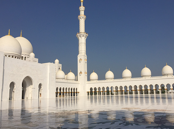 The essential architectural elements: columns, domes and minarets (Photo: Michael Edwards)