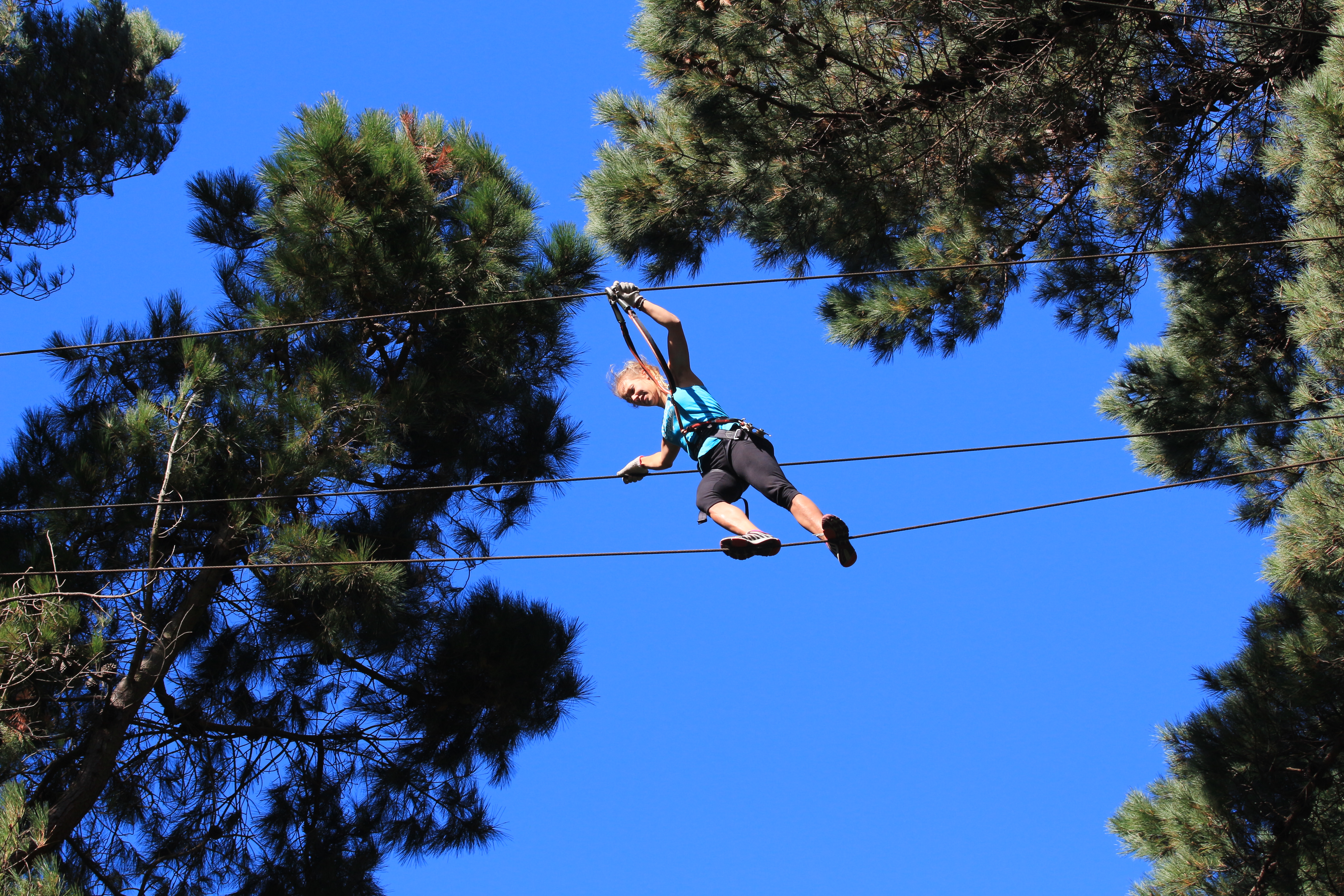 Adrenalin Forest