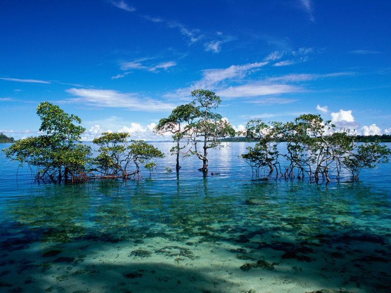 India’s Desert Islands: The Andamans