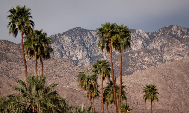13 Unique Things to Do in Palm Springs