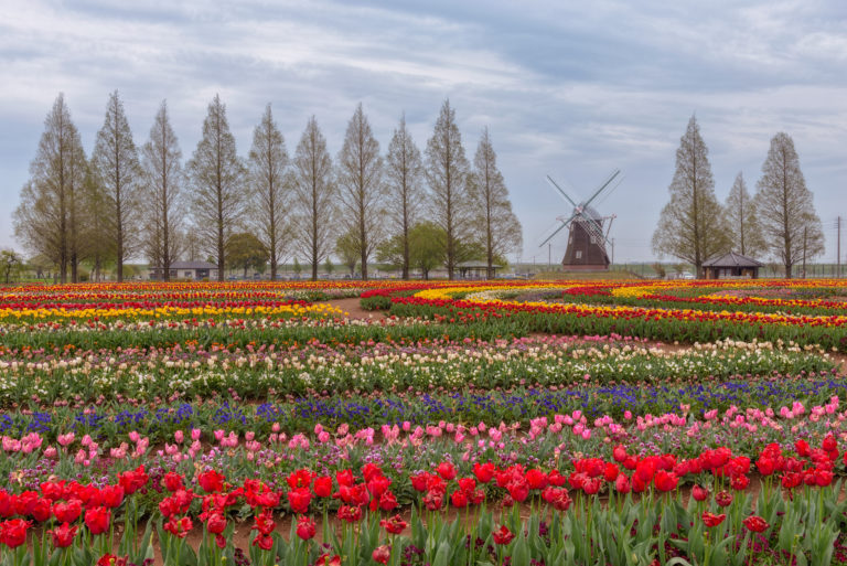 The most charming towns and small cities in the Netherlands