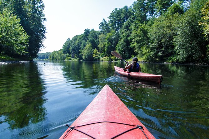 Delaware River Kayak and Wine Day Trip