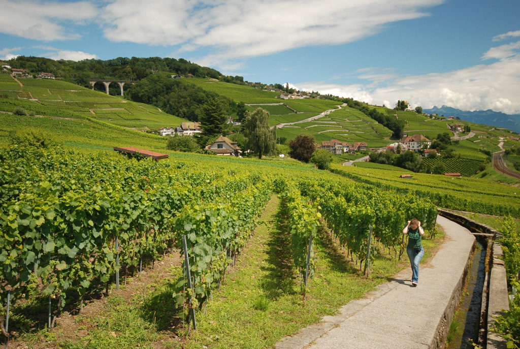 lavaux vineyards, chatelard, things to do in lausanne