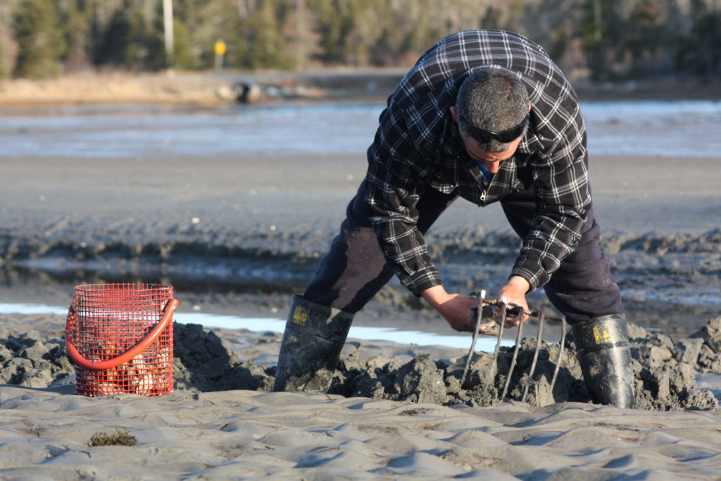 clam digging, things to do in nova scotia