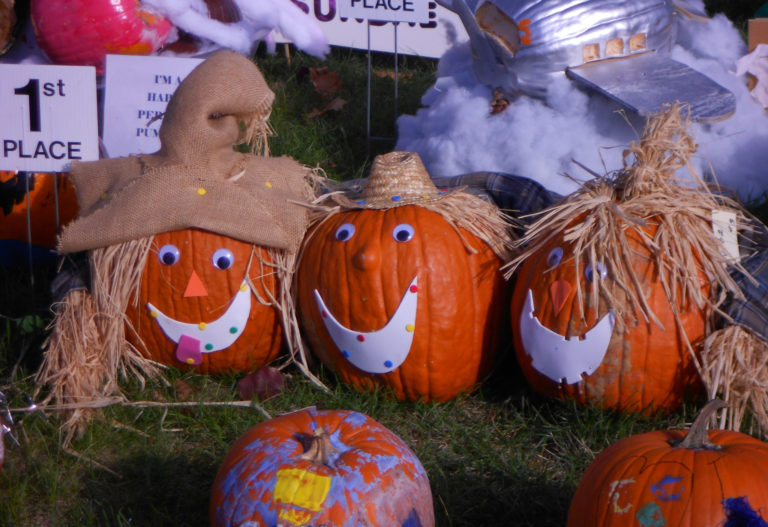 The Best Festivals and Fairs in Chicago & Illinois