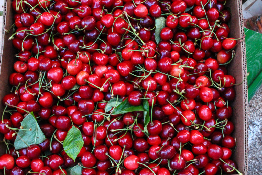 sour cherries, restaurants in brac, things to do in brac