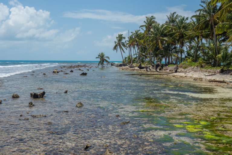 5 of the Best Surf Camps in Nicaragua