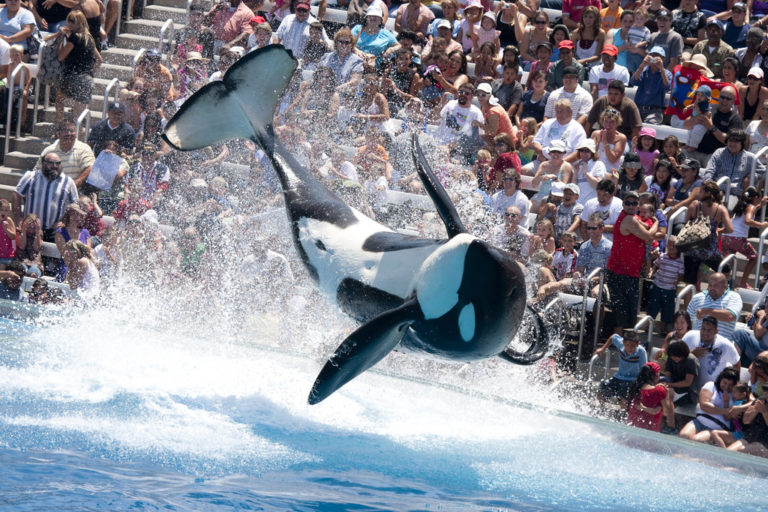 Where to find discount Sea World San Diego Tickets