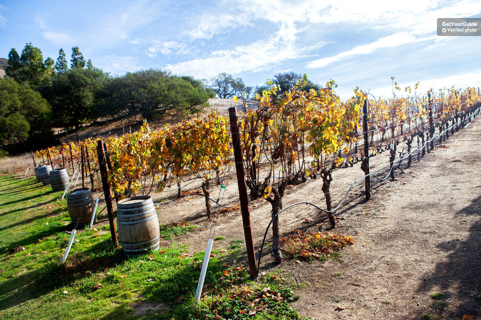 napa and sonoma wine tours from san francisco