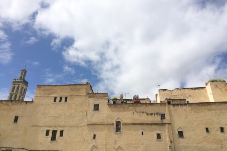 A detour in the medina: Fez’s lesser-known tanneries