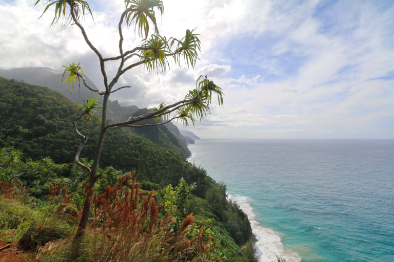 Where to Find the Best Kauai Vacation Packages & Deals