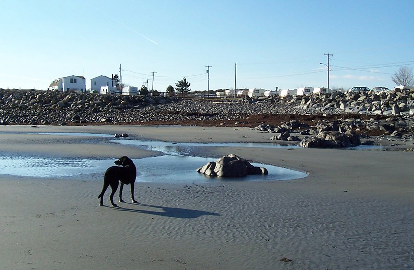 Long Sands Beach