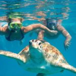 The Best Oahu and Honolulu Snorkeling Tours