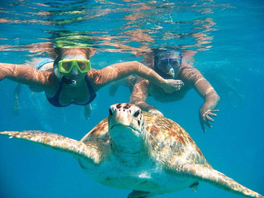 oahu snorkeling excursions