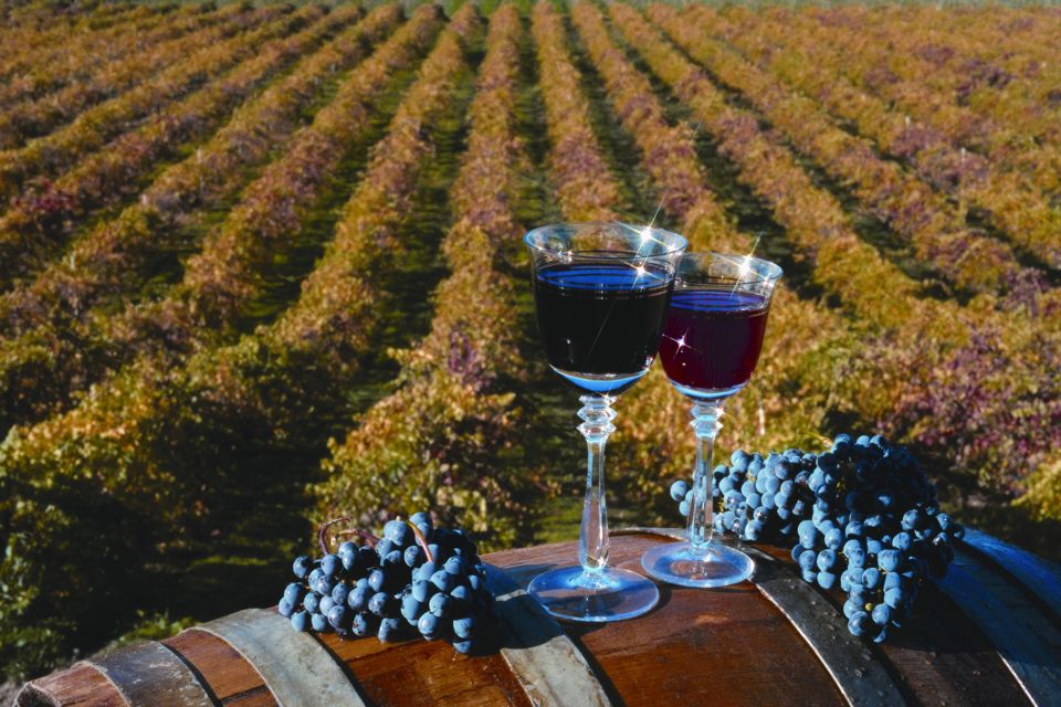 The best 5 Sonoma wine tastings & wine tours
