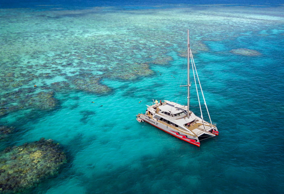 reef tours out of cairns