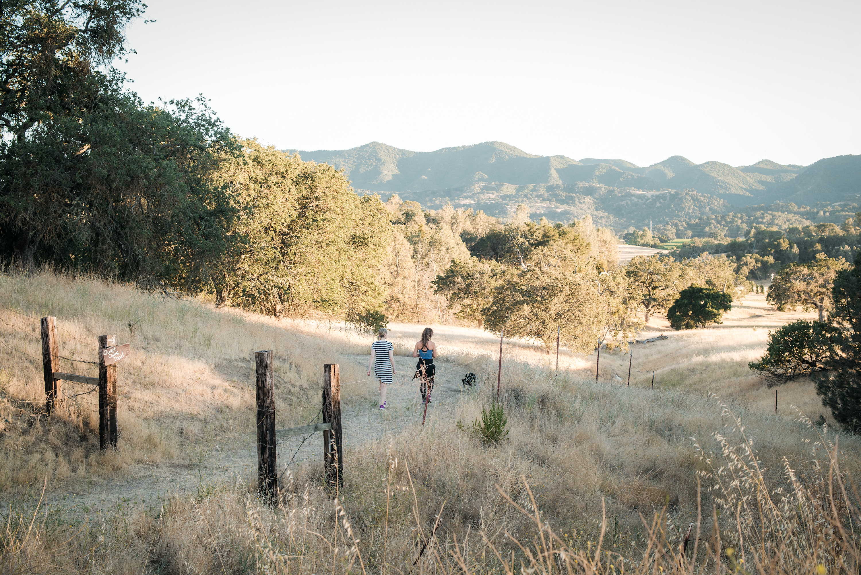 yoga retreats in california