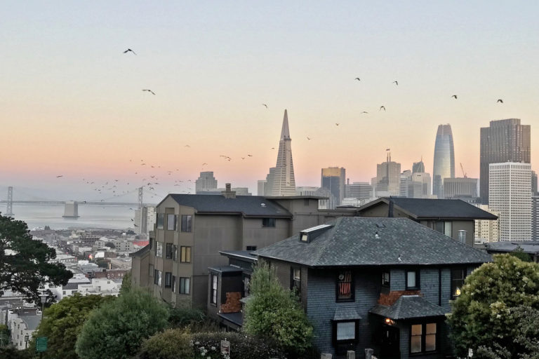 8 of the Best Bars in North Beach San Francisco