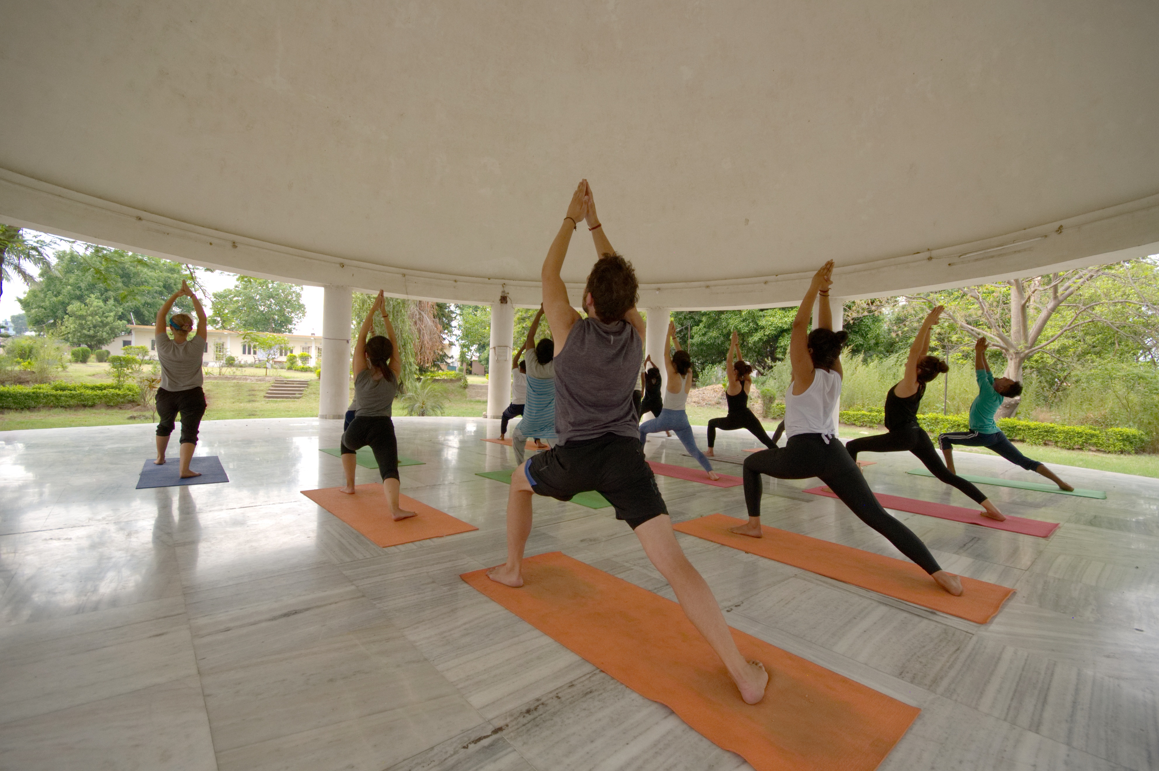 Best Yoga Training Programs In India