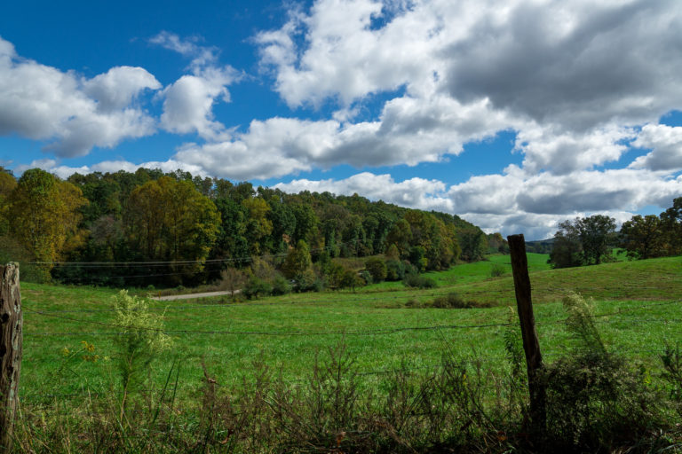 Cabin Rentals in Ellijay: Where to Book