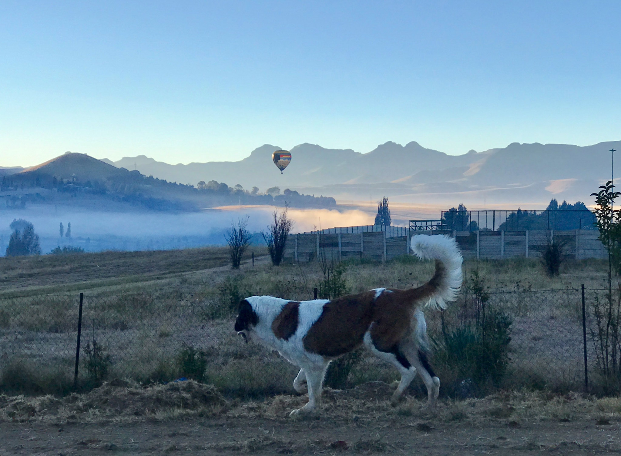 Clarens, Free State