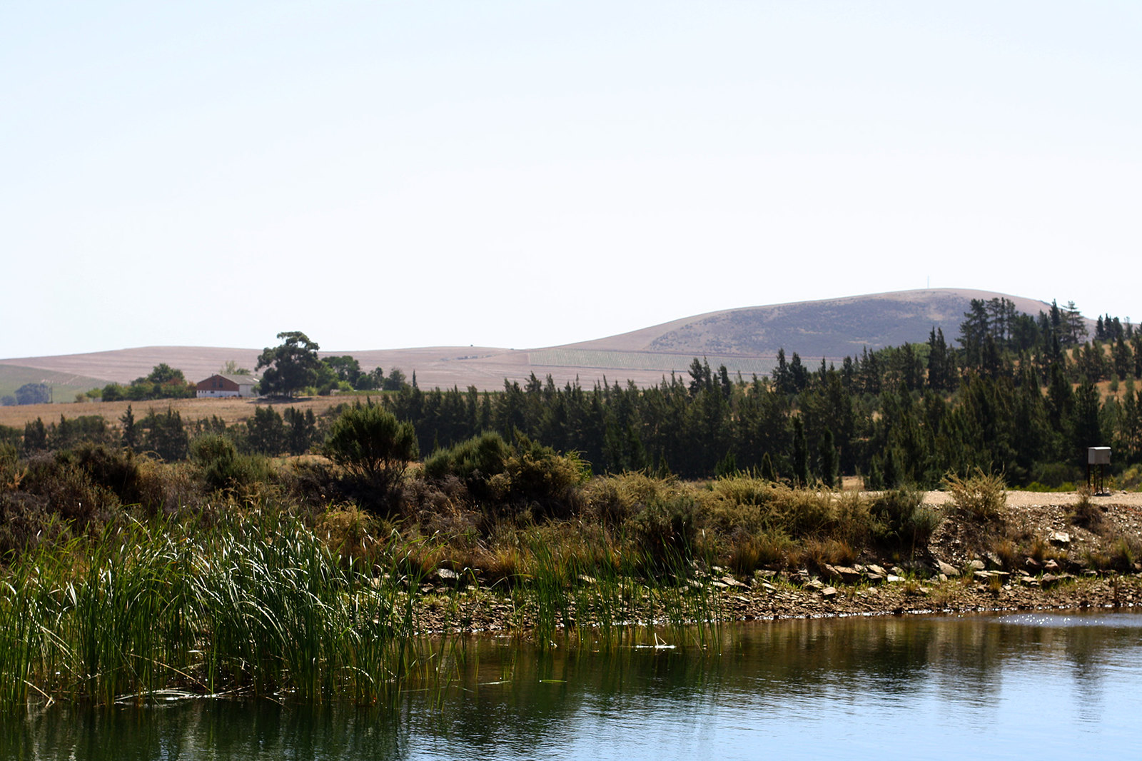 Riebeek-Kasteel, Western Cape