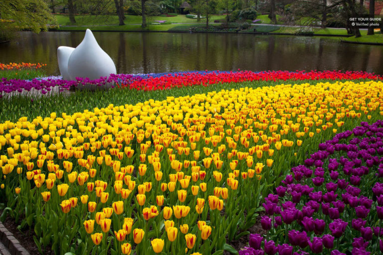 3 of the Best Keukenhof Tours from Amsterdam