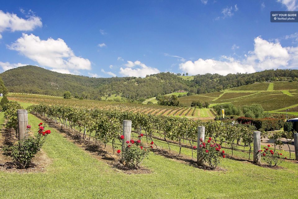 hunter valley wine tour for two