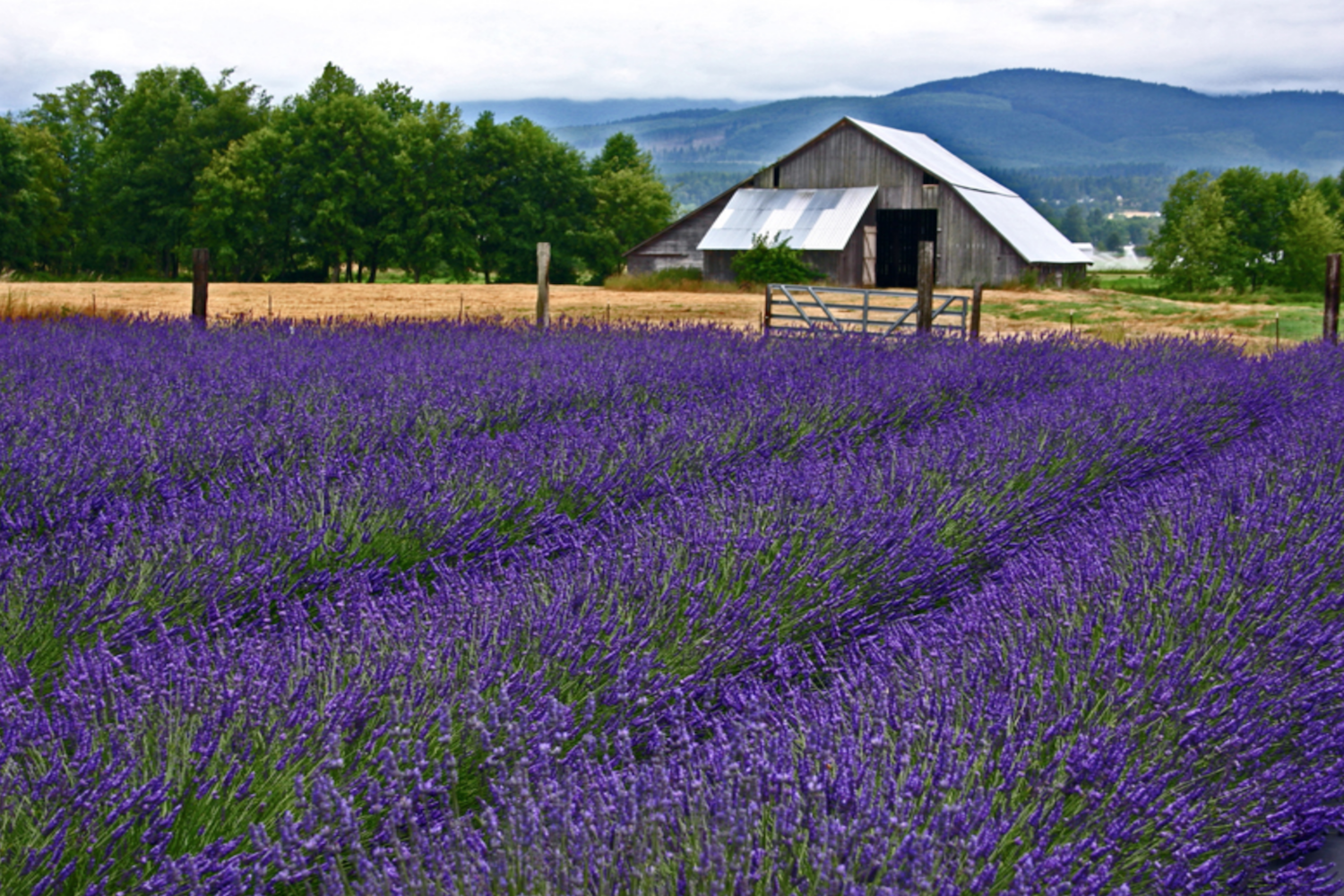 best little towns to visit in washington