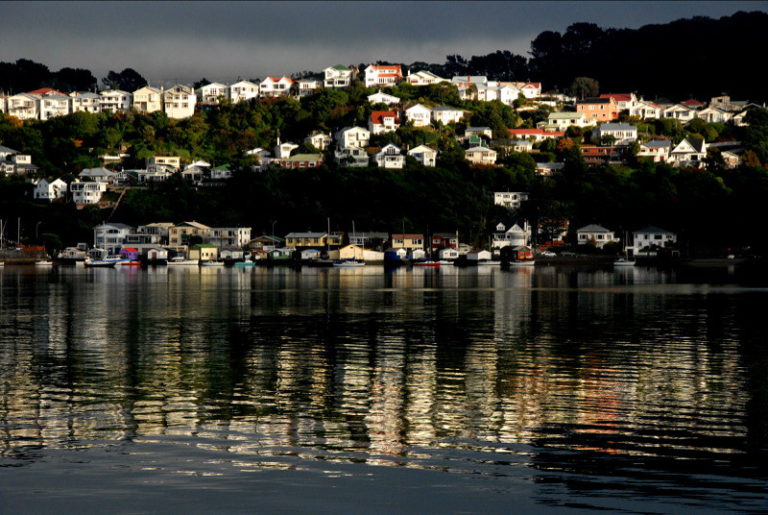 14 Unique Things to Do in Wellington