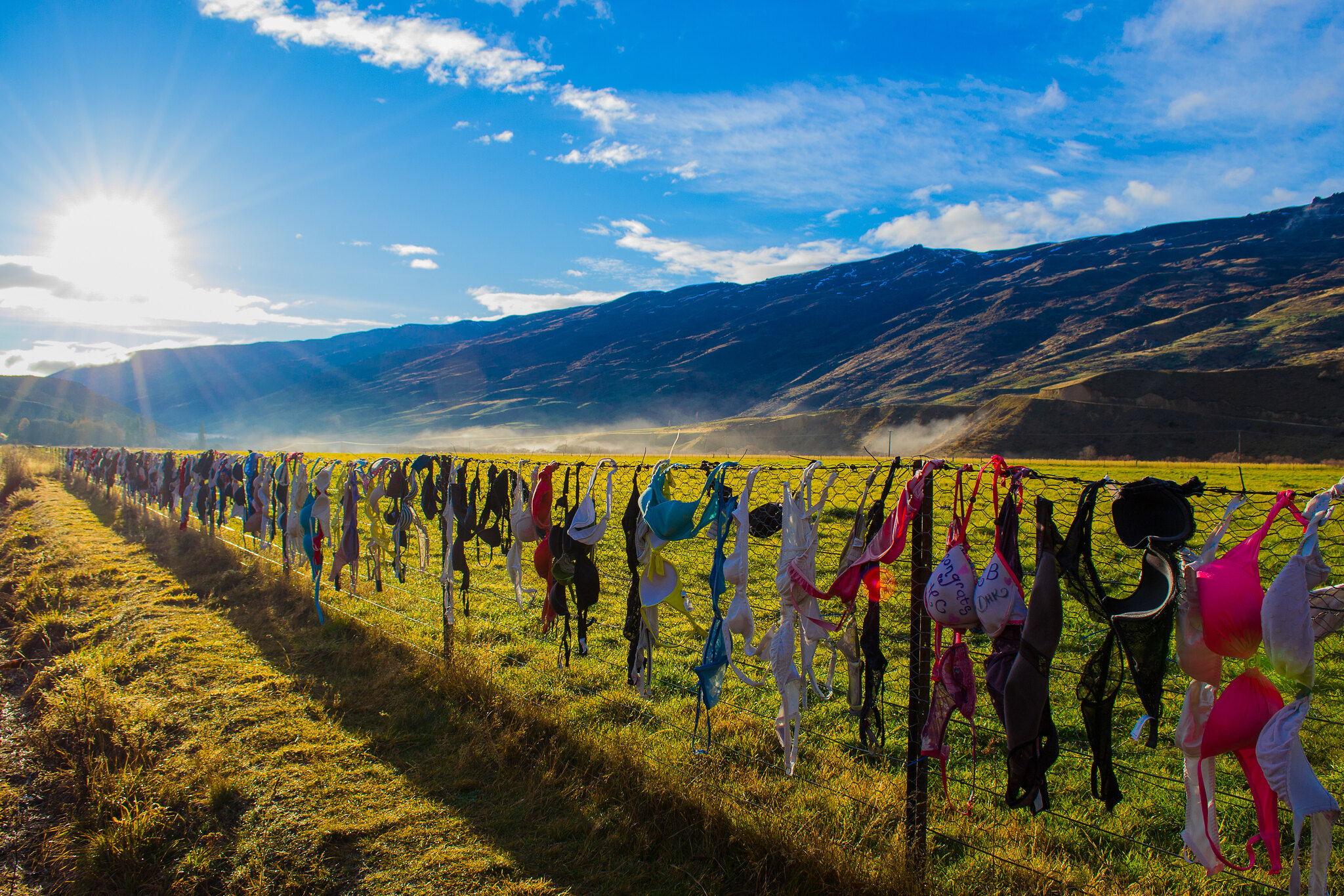 Cardrona Bra Fence