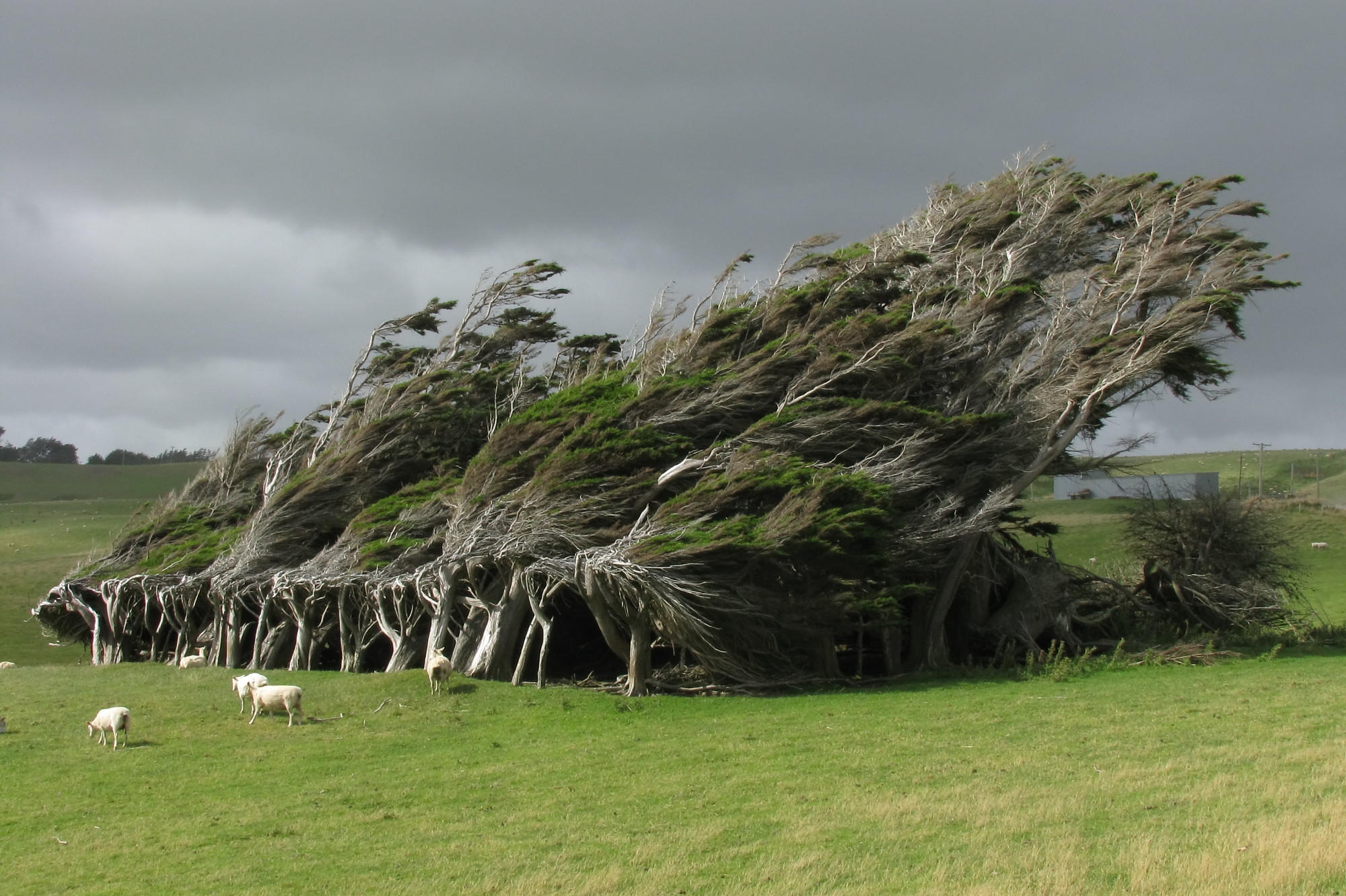 Slope Point