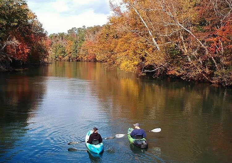 Savannah River Rapids