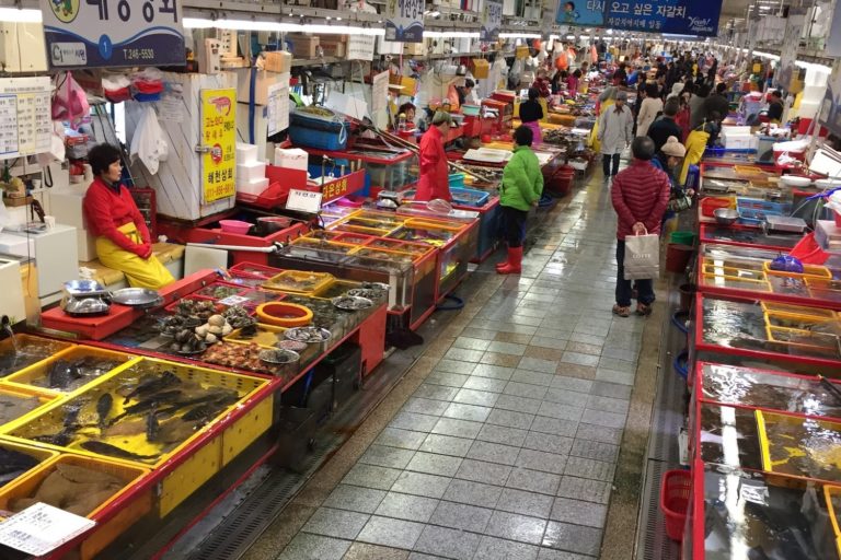 Making Friends at Busan’s Jagalchi Market