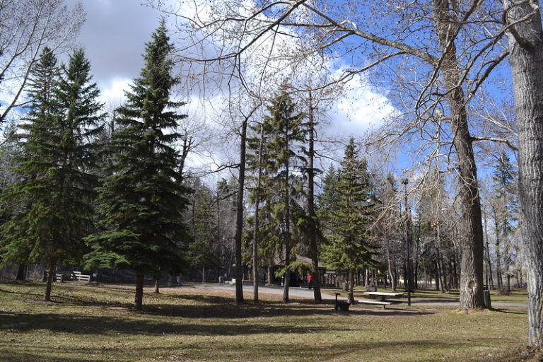 Car Rental in Red Deer, AB: The best companies