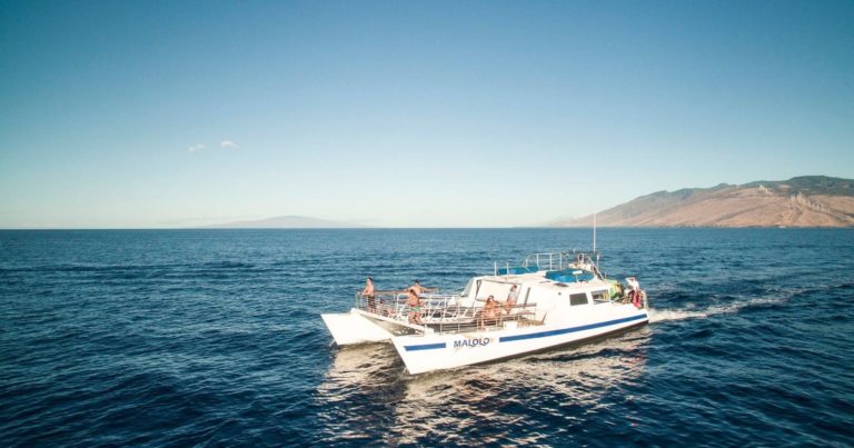 5 of the Best Aruba Snorkeling Tours