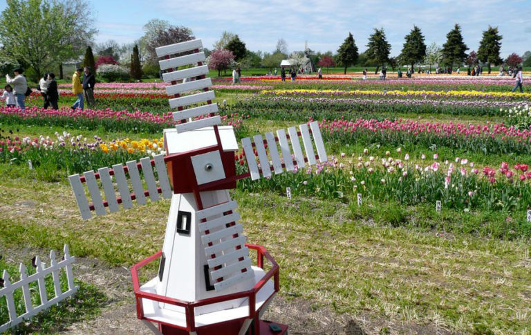 20 unique places to visit in Michigan