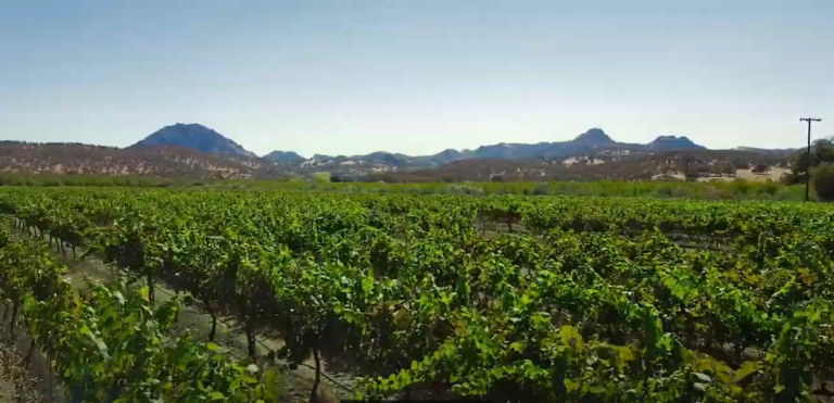 Yuba Sutter: a treasure trove of history, culture & landscapes