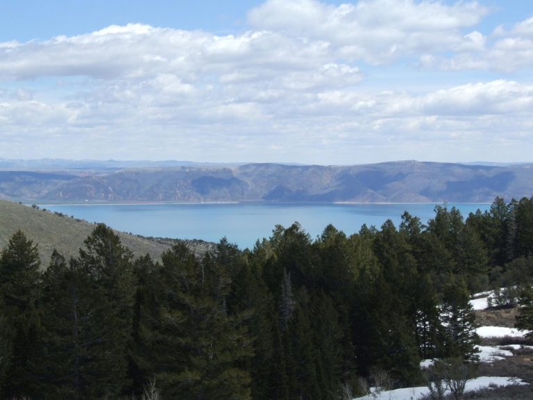 Cabin Rentals in Bear Lake: Where to book