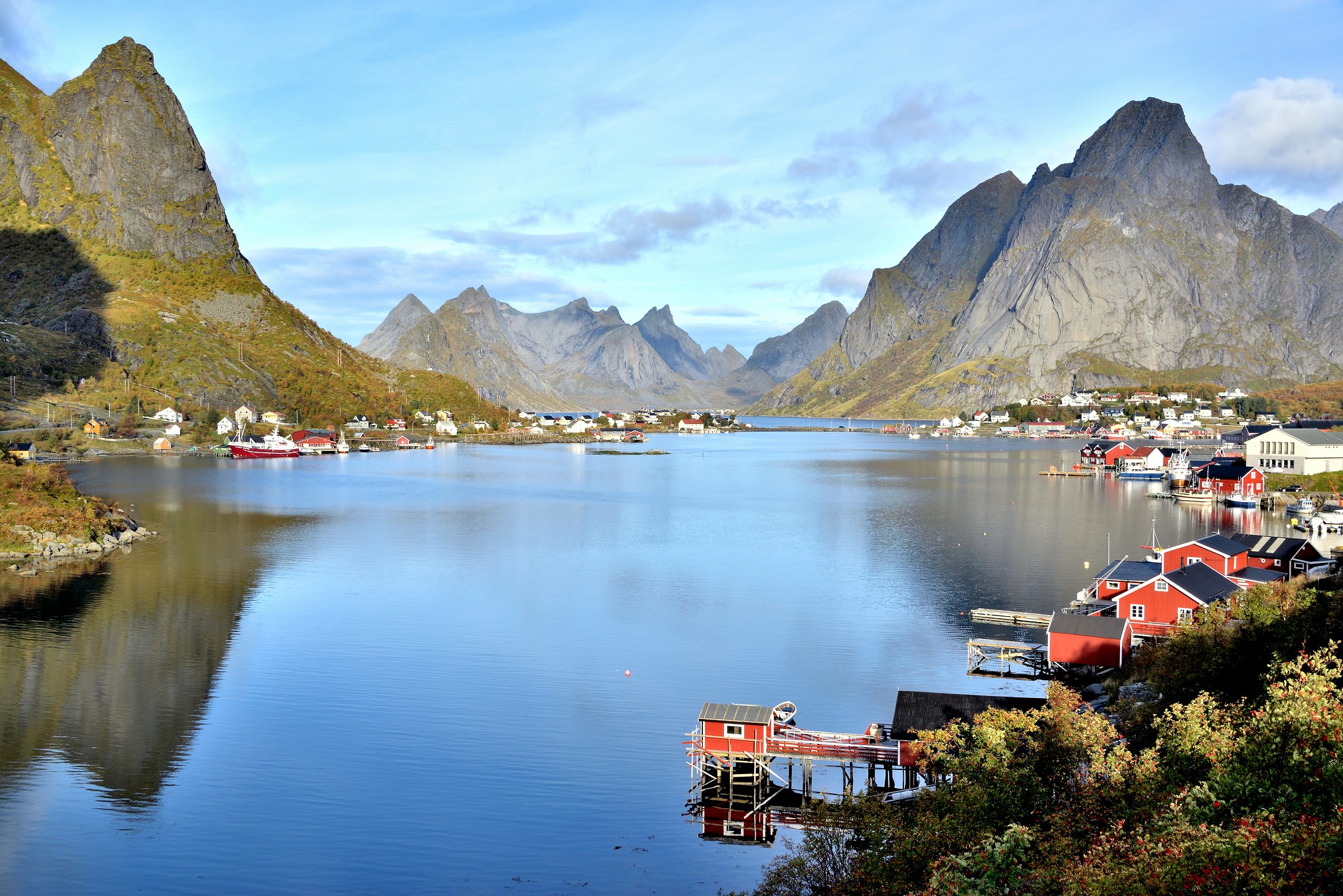 Reine