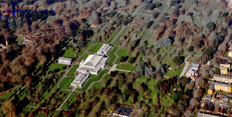 Plan Your Trip: Kew Gardens in London