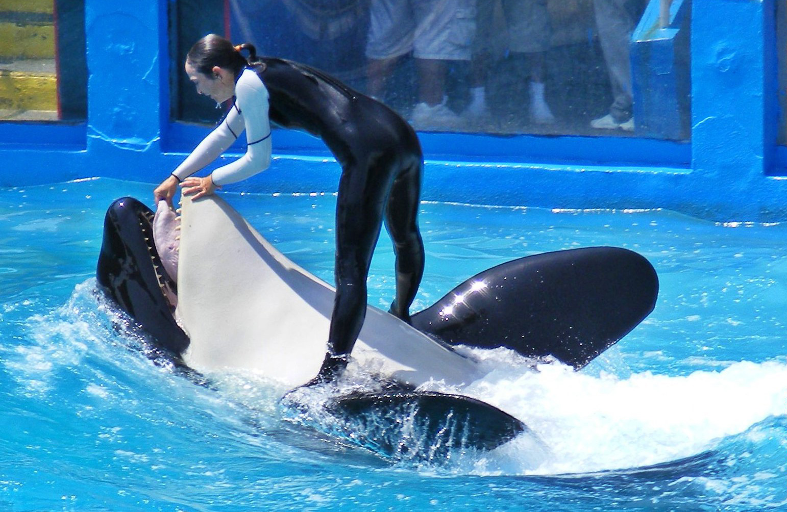 Seaquarium