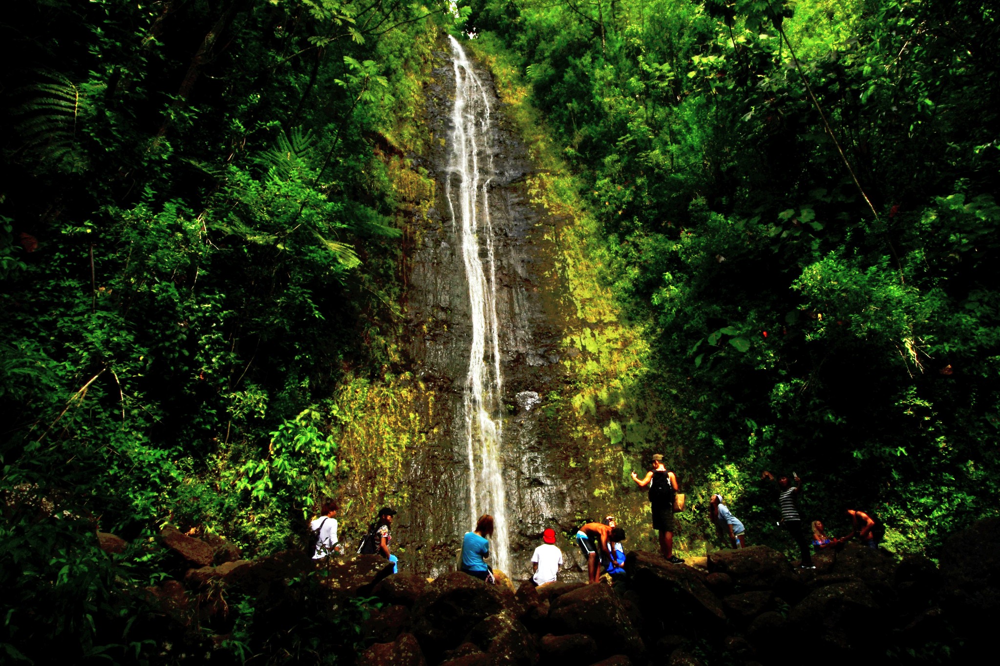Manoa Falls hike