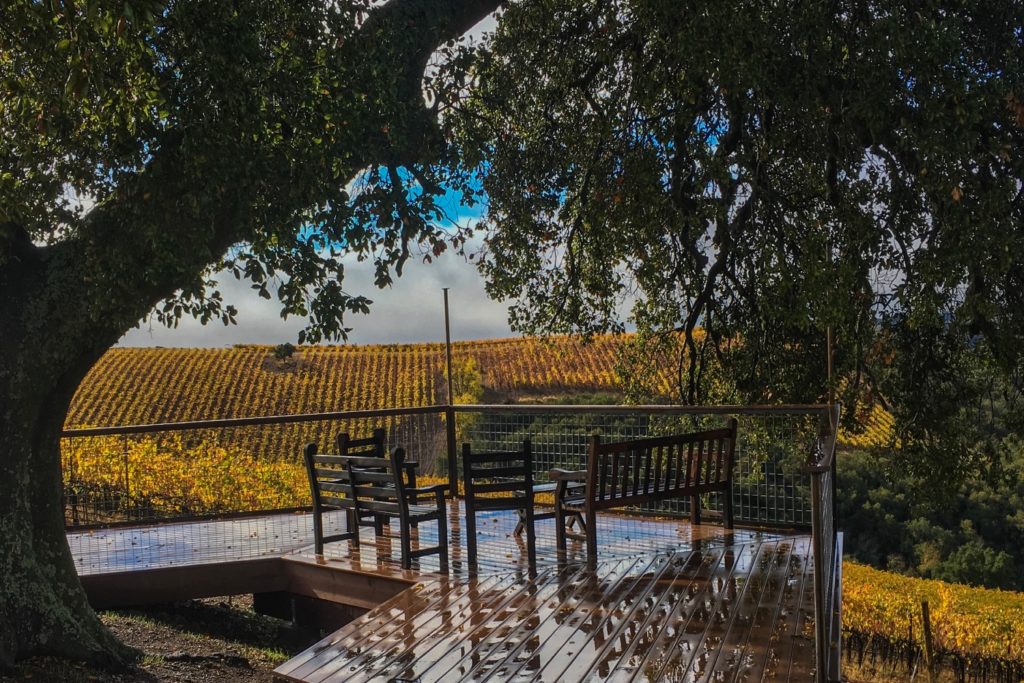 7 of the Best Wineries to Explore in Paso Robles