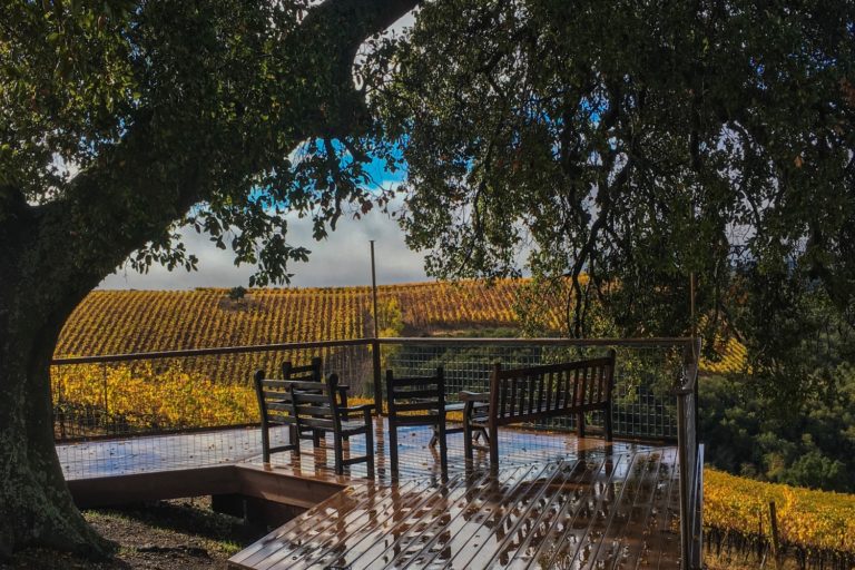 7 of the Best Wineries to Explore in Paso Robles