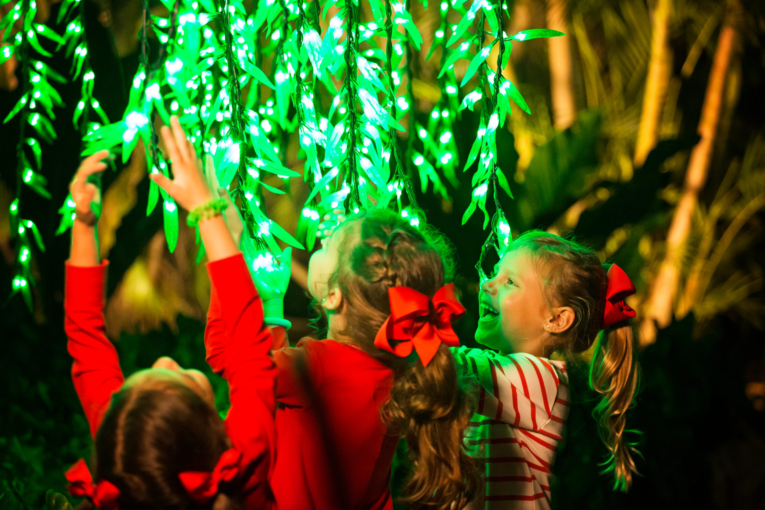 Nights of Lights Festival