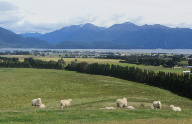 24 Hours in Te Anau